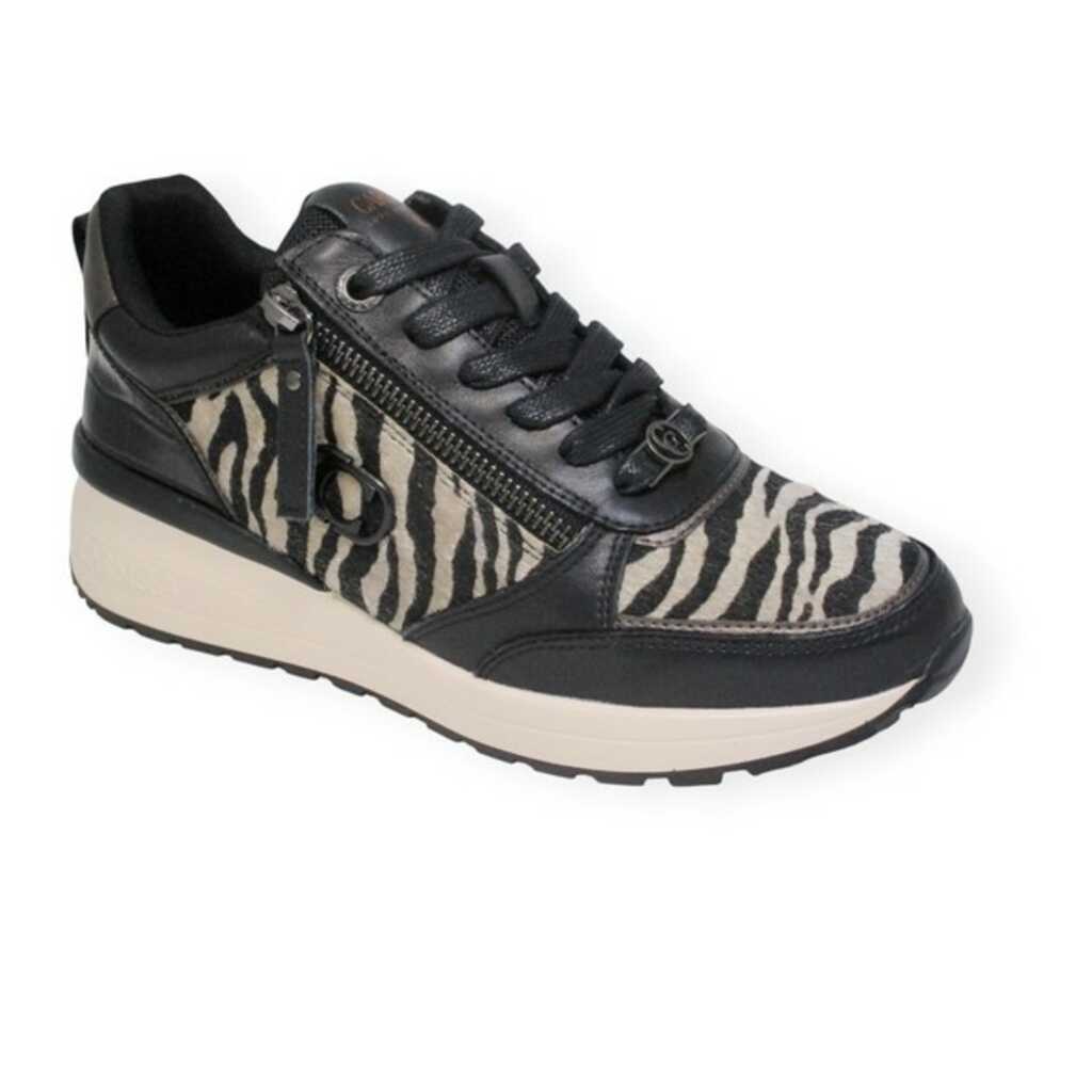 carmela 162653 black zebra_1