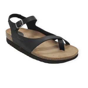 inter-bios 7164 black._1