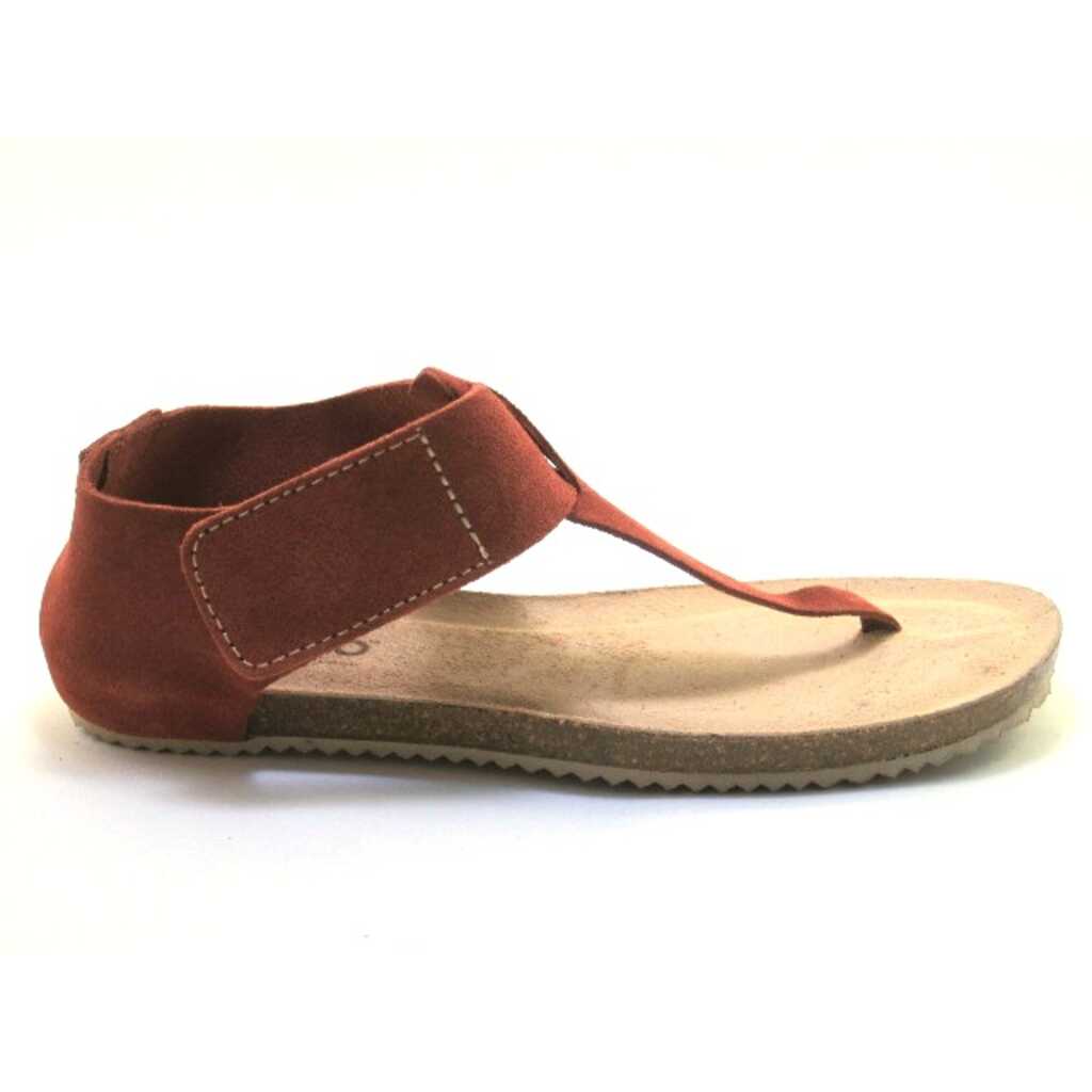 yokono genova 088 teula