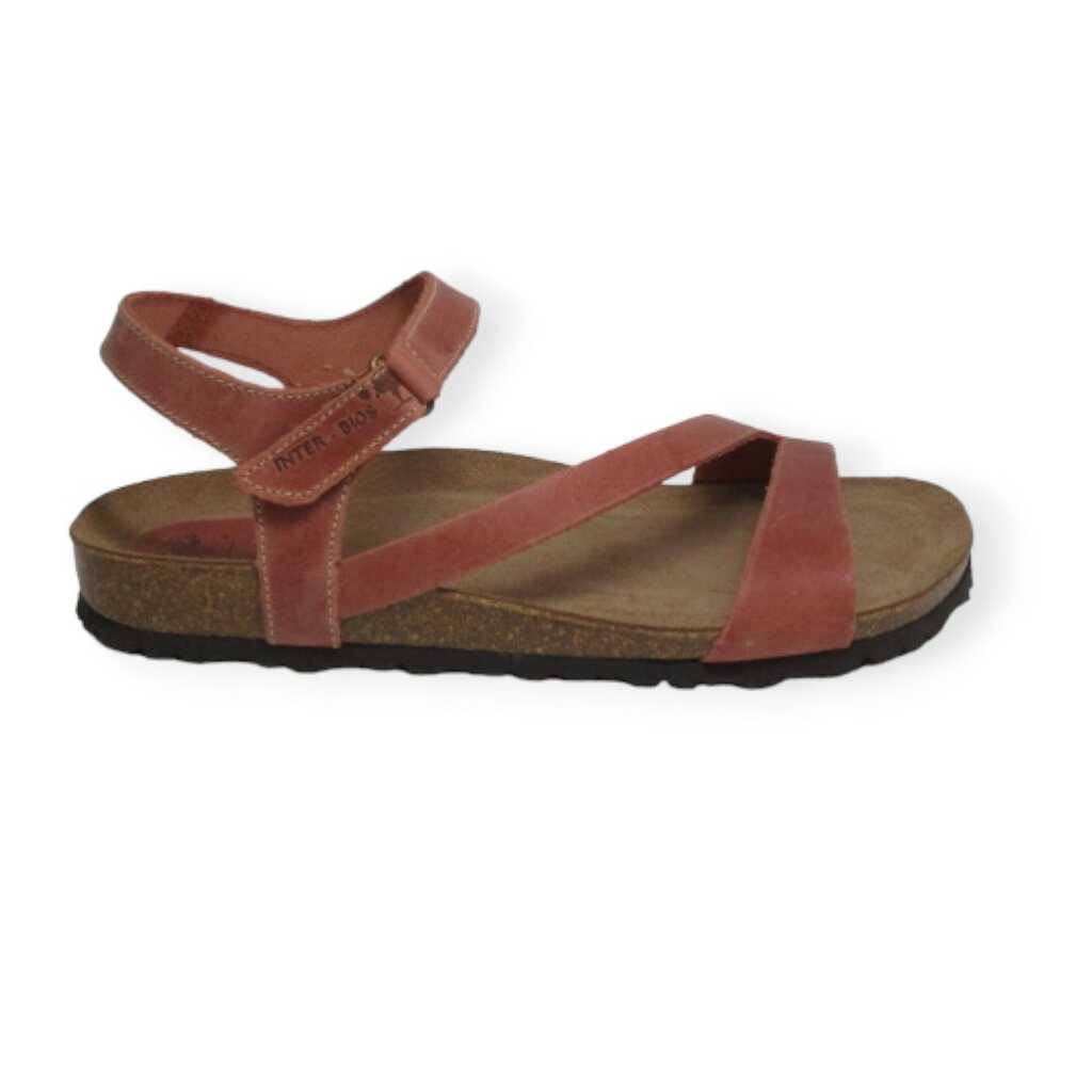 inter-bios 7219 teula