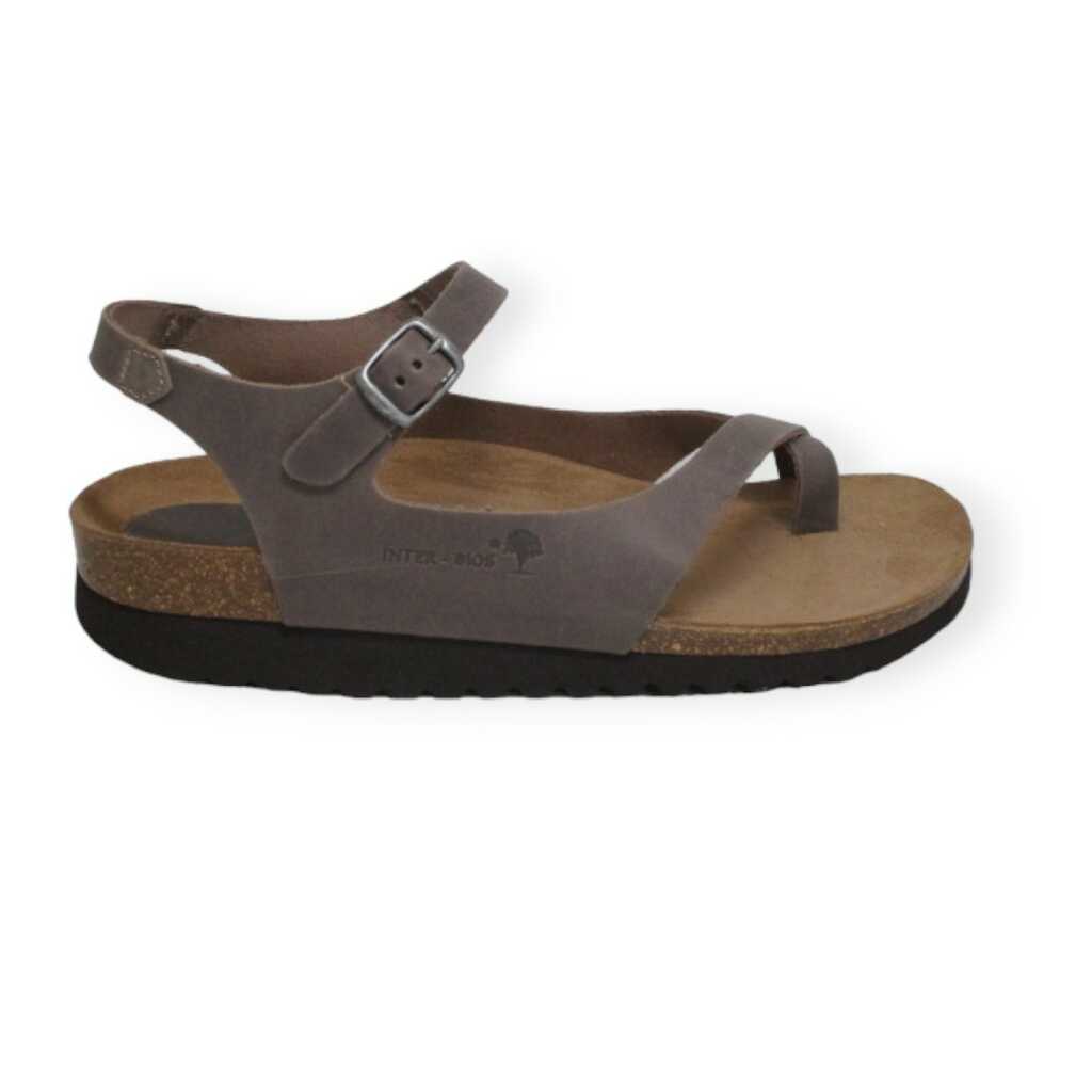 inter-bios 7164 pardo teula