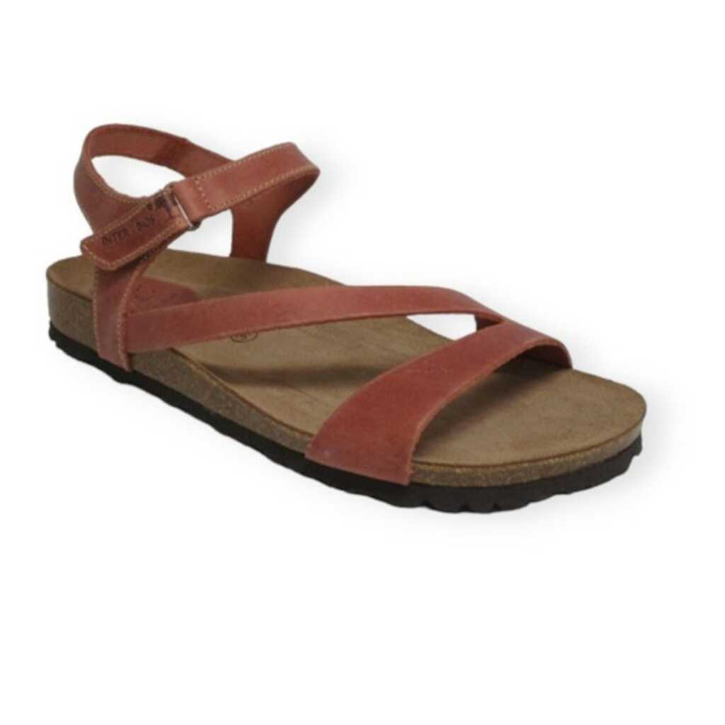 inter-bios 7164 pardo teula_1