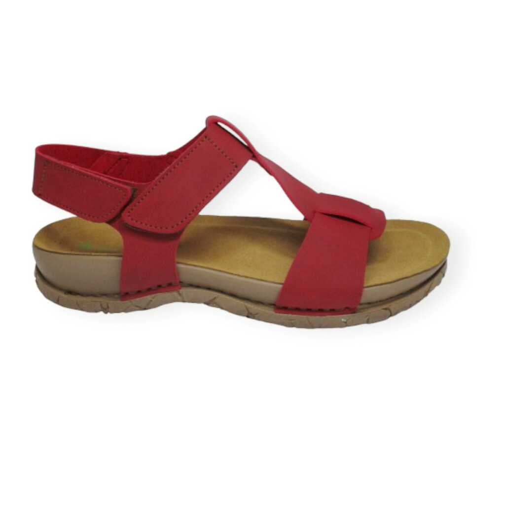 el naturalista n5861 tibet tabernas