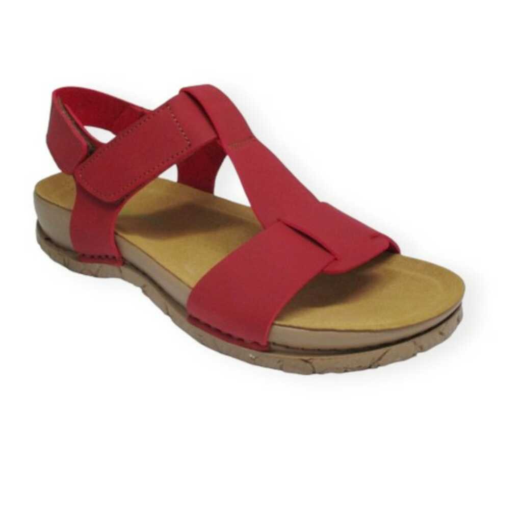 el naturalista n5861 tibet tabernas_1