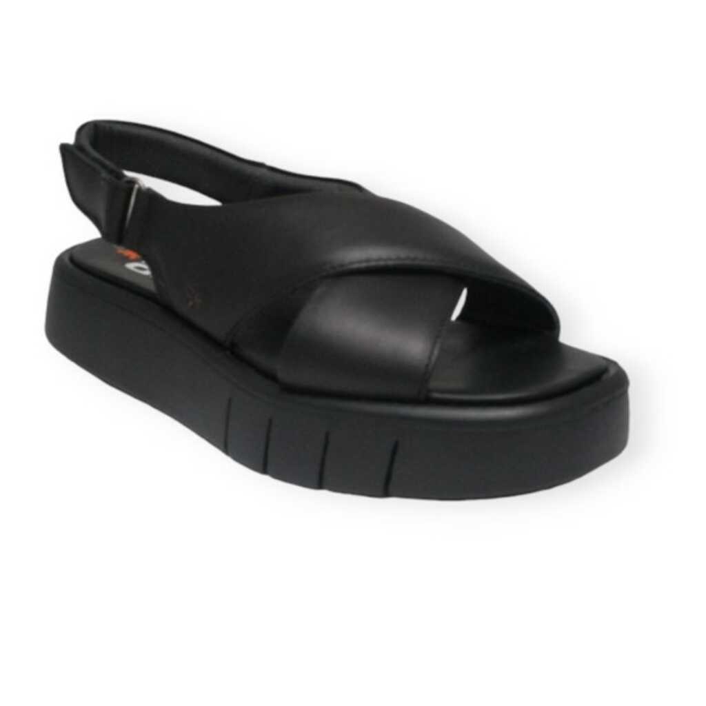 art 1855 black malaga_1