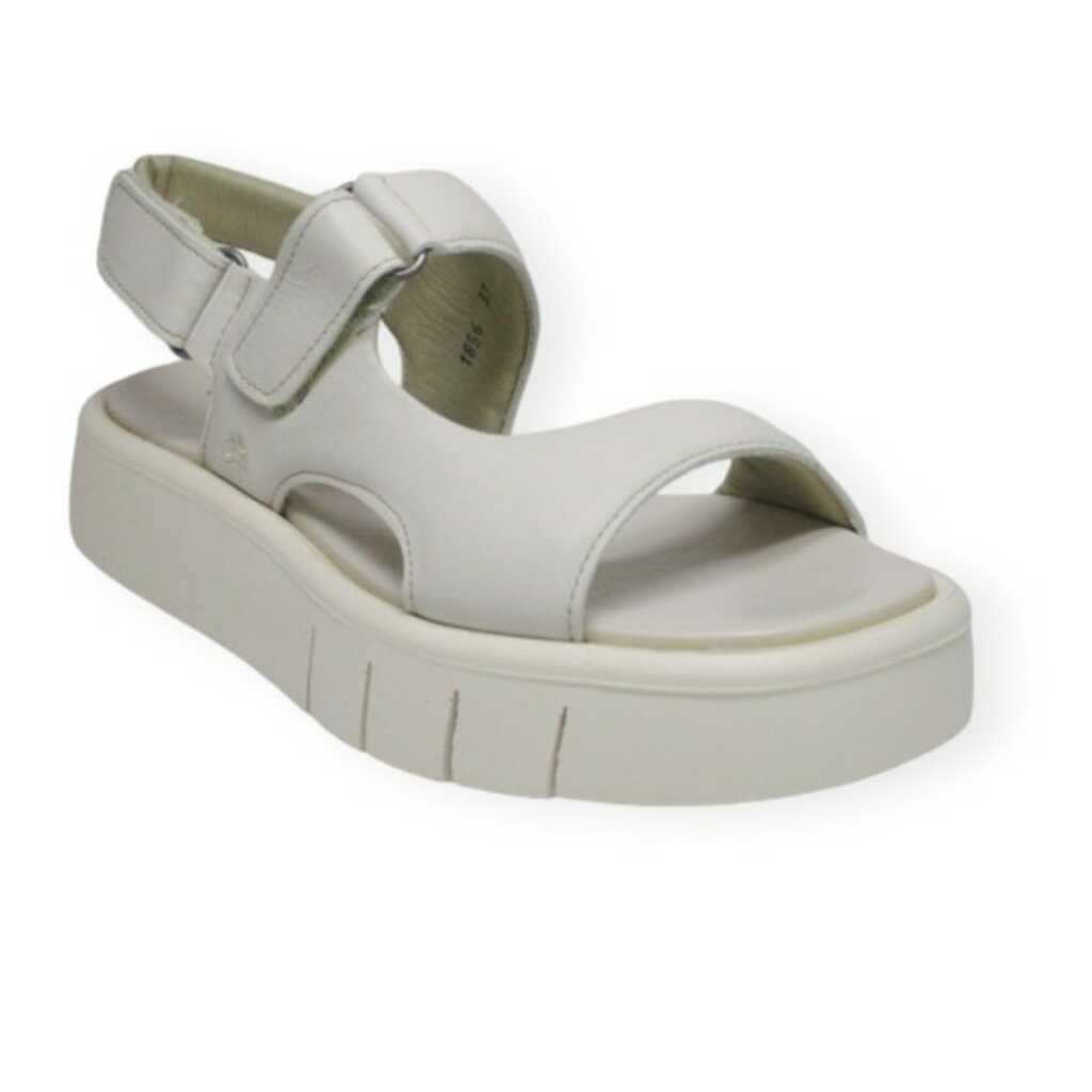 art 1856 cream malaga_1