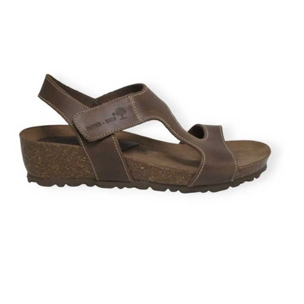 inter-bios 5316 pardo