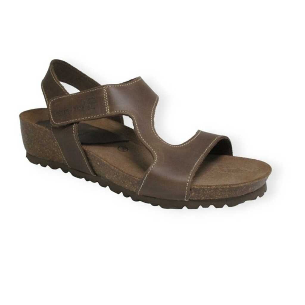 inter-bios 5316 pardo_1