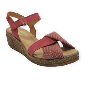 el naturalista n5038 leaves lino loto_1