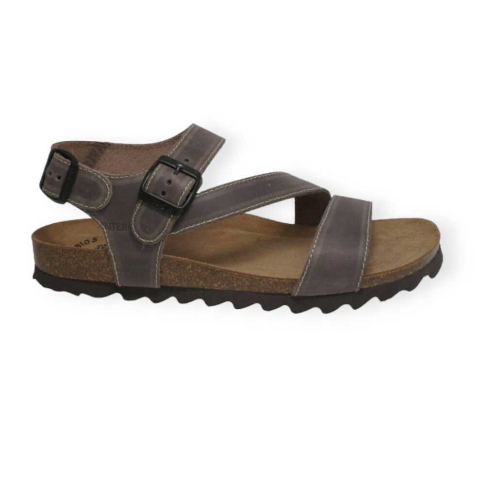 inter-bios 9557 pardo