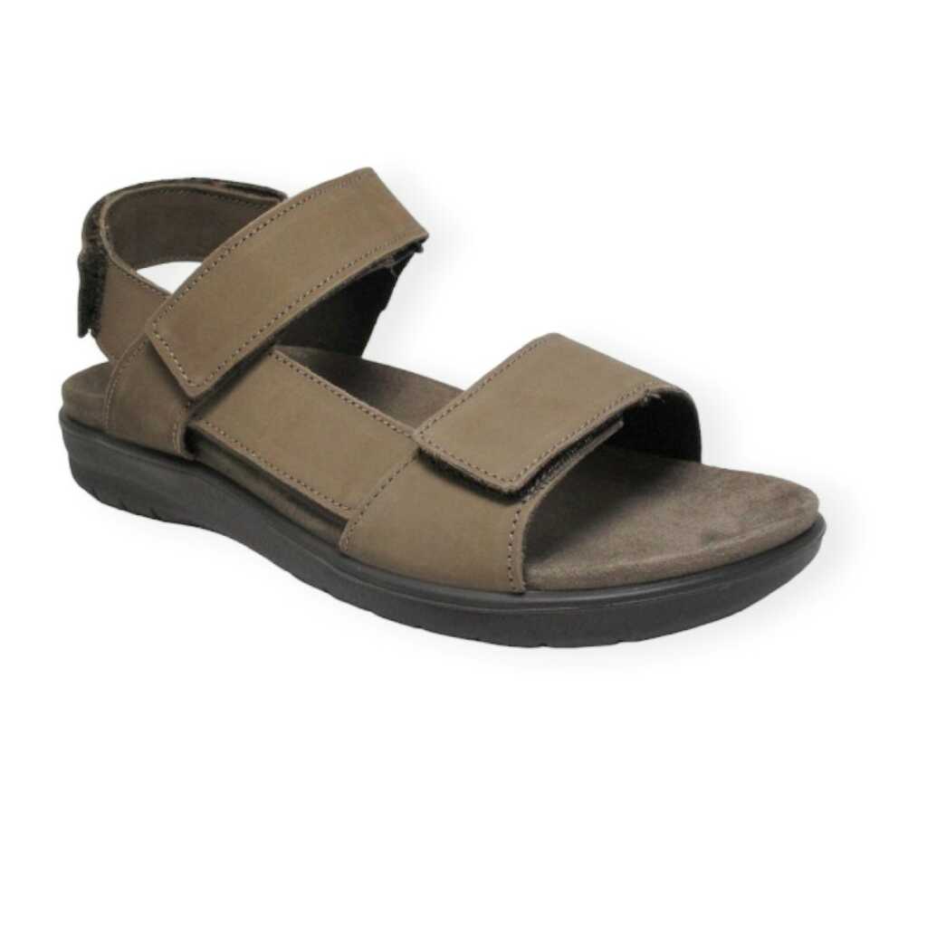 imac 552561 safari_1