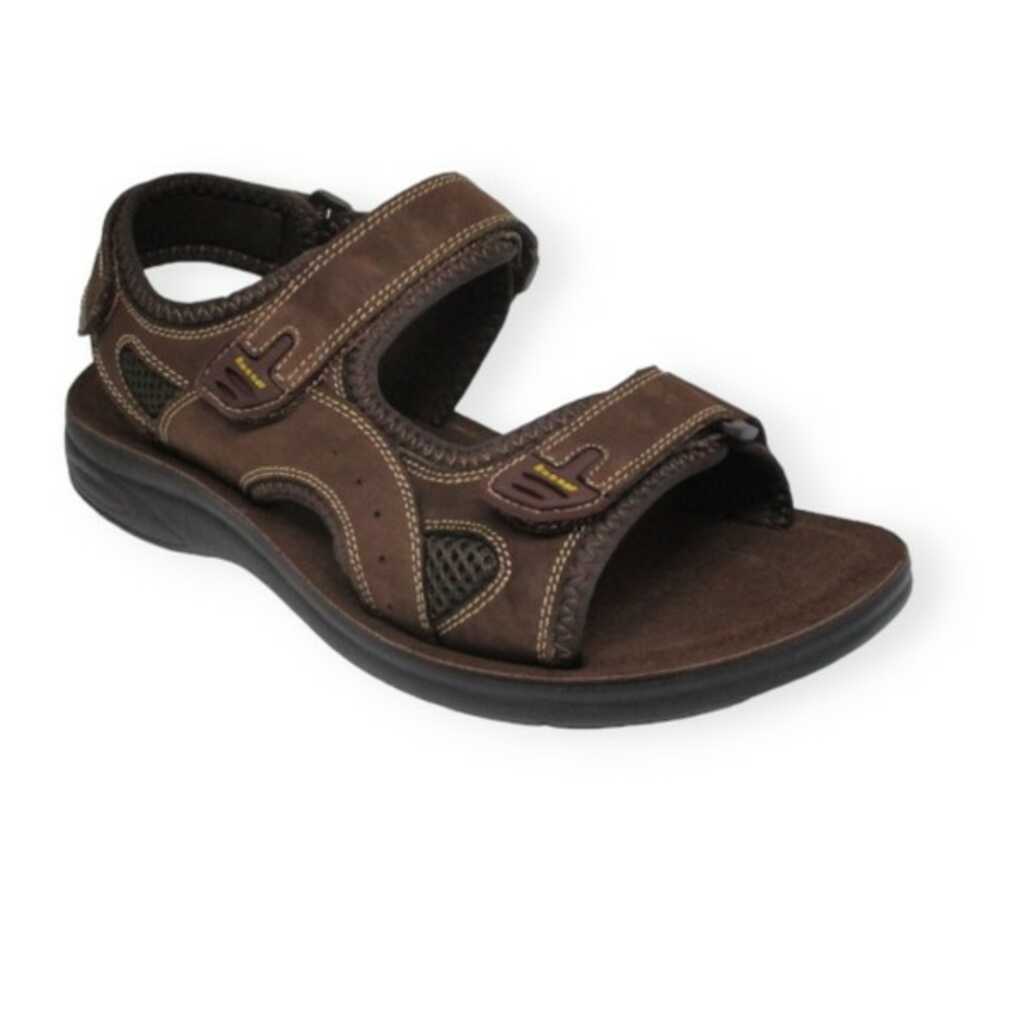 paredes camote brown_1