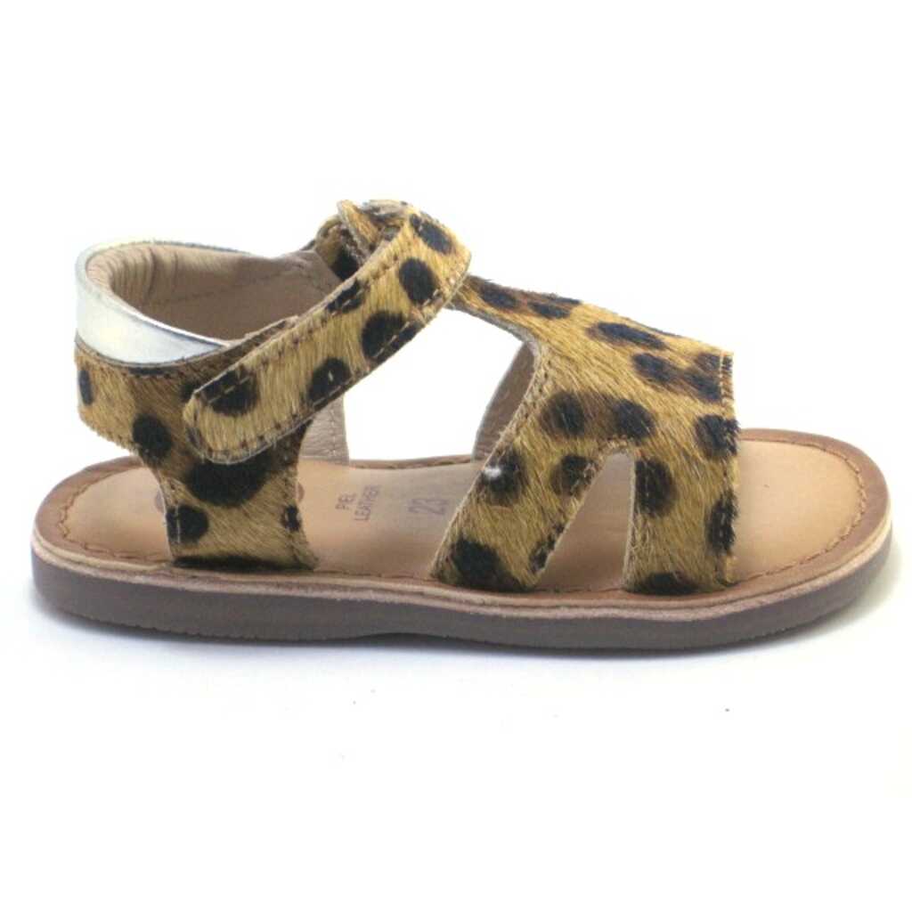 gioseppo 59636 lleopard