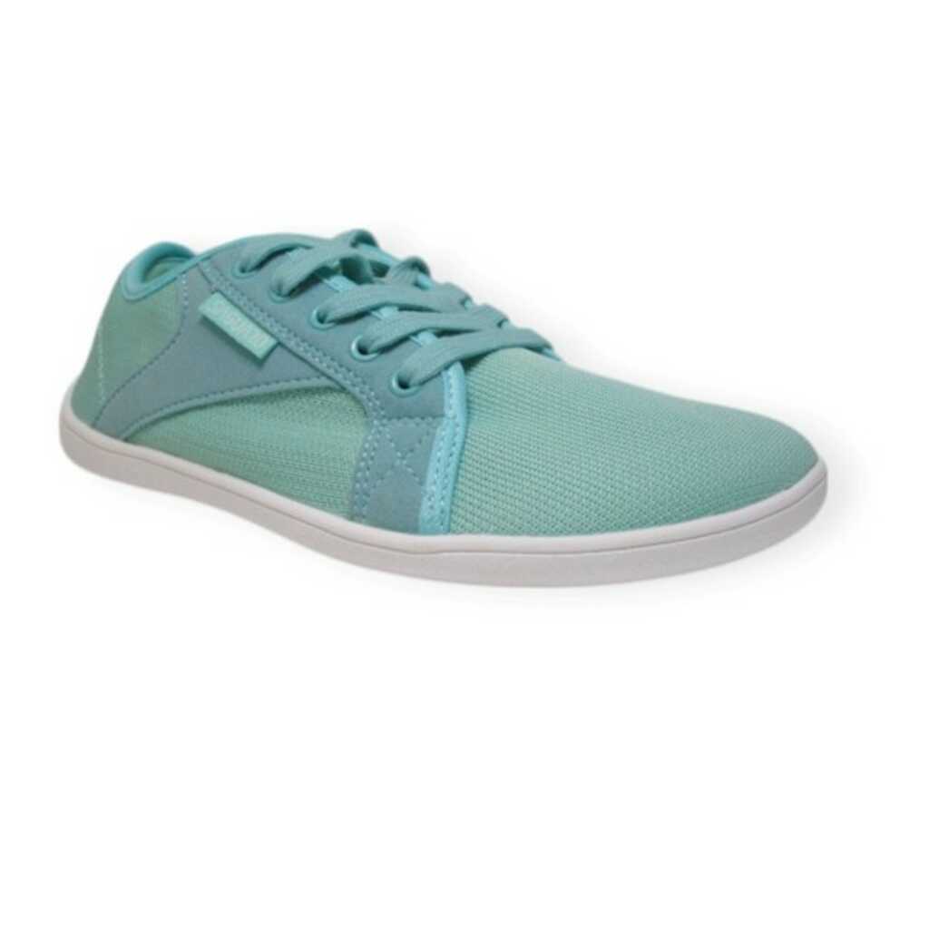 saguaro luck i turquesa_1