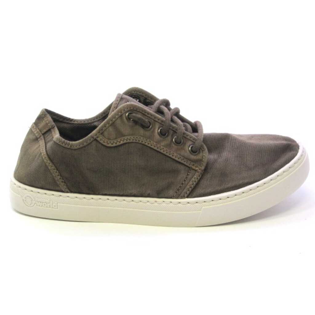 natural world 6602e cafe