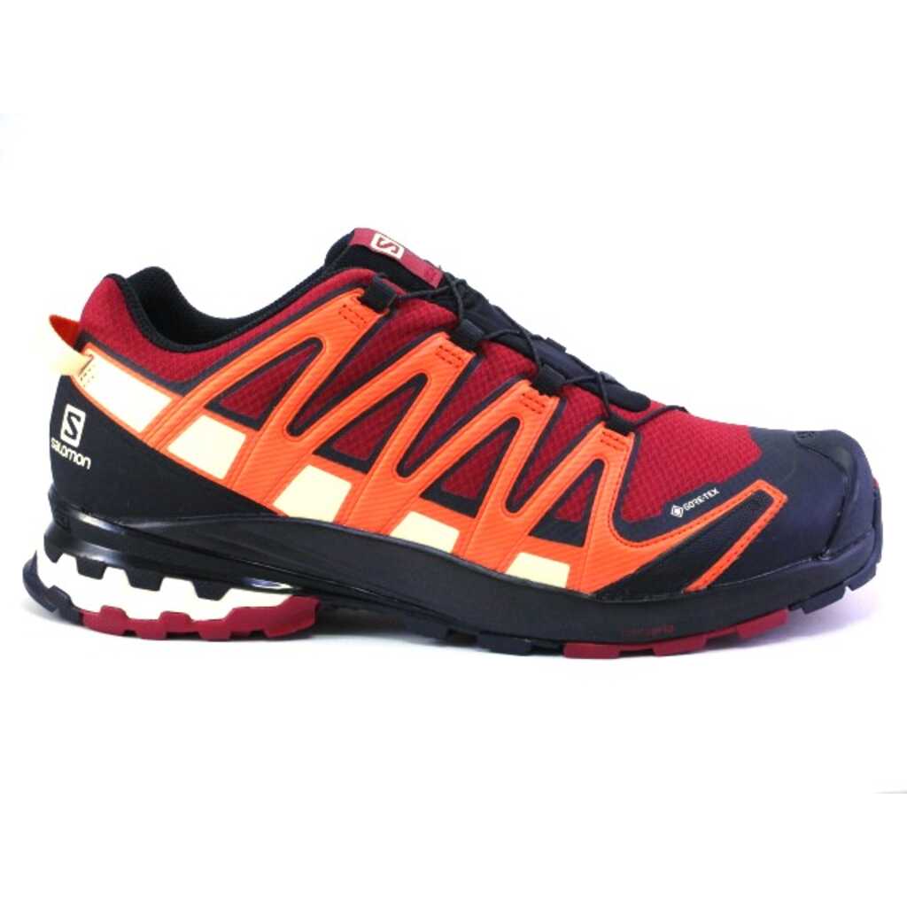 salomon xa pro 3d v8 gtx l41563500 gore tex.