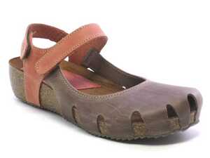 inter-bios 5326 pardo teula_1