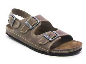 interbios 9504 pardo_1