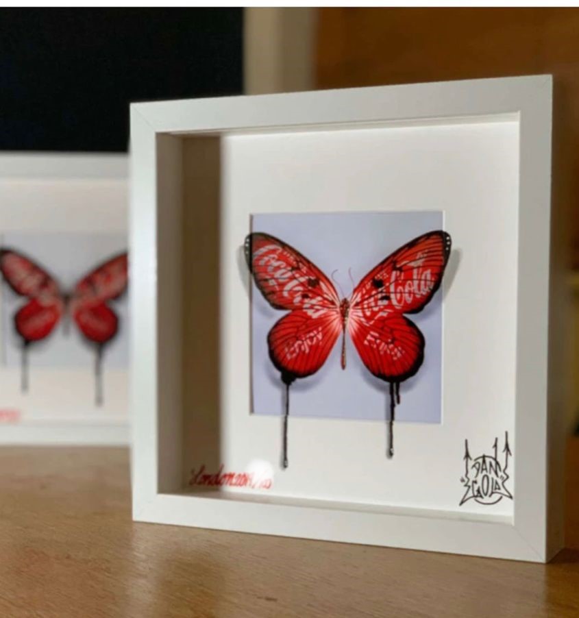 Urban Camouflage Butterfly / Cola 14