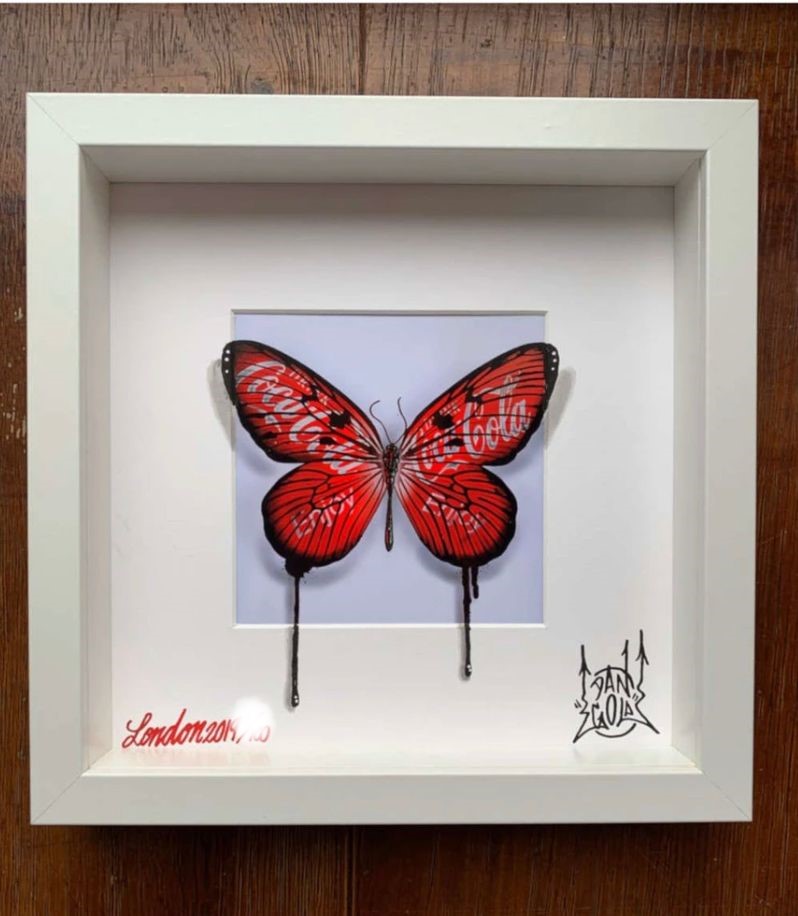 Urban Camouflage Butterfly / Cola 15