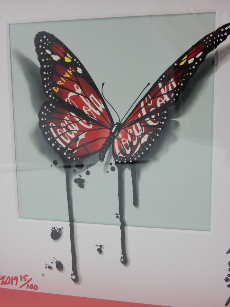 Urban Camouflage Butterfly / Cola 6