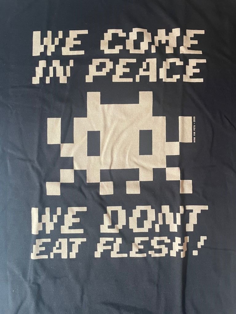 Invader - We come in peace 2