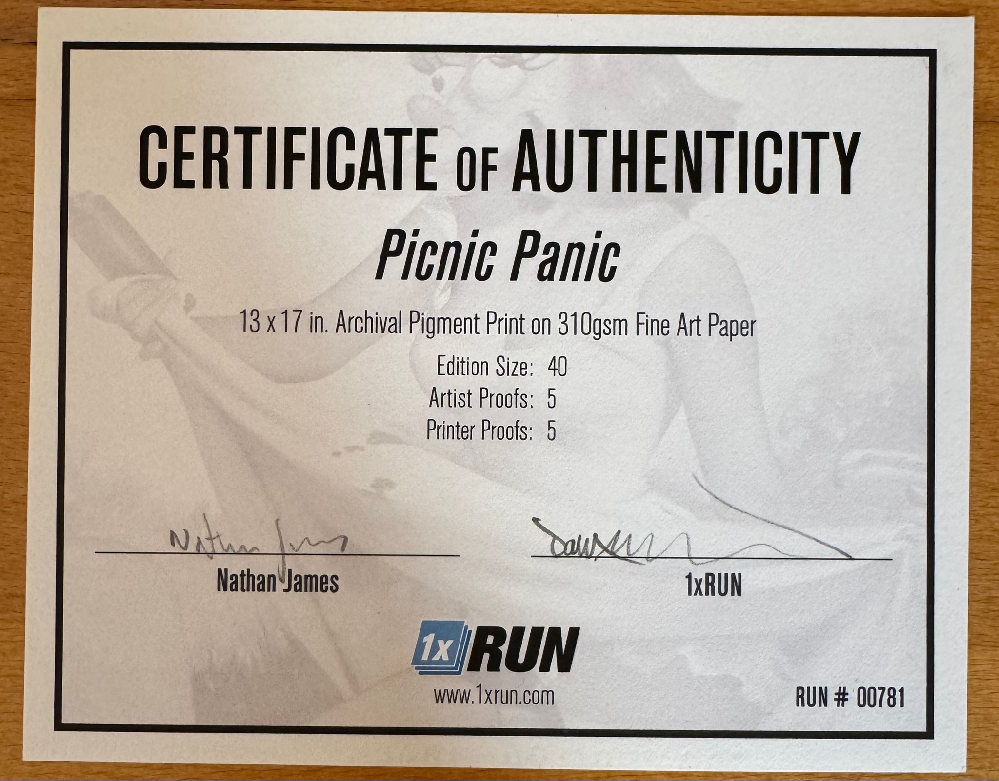 Picnic Panic - Nathan James 4