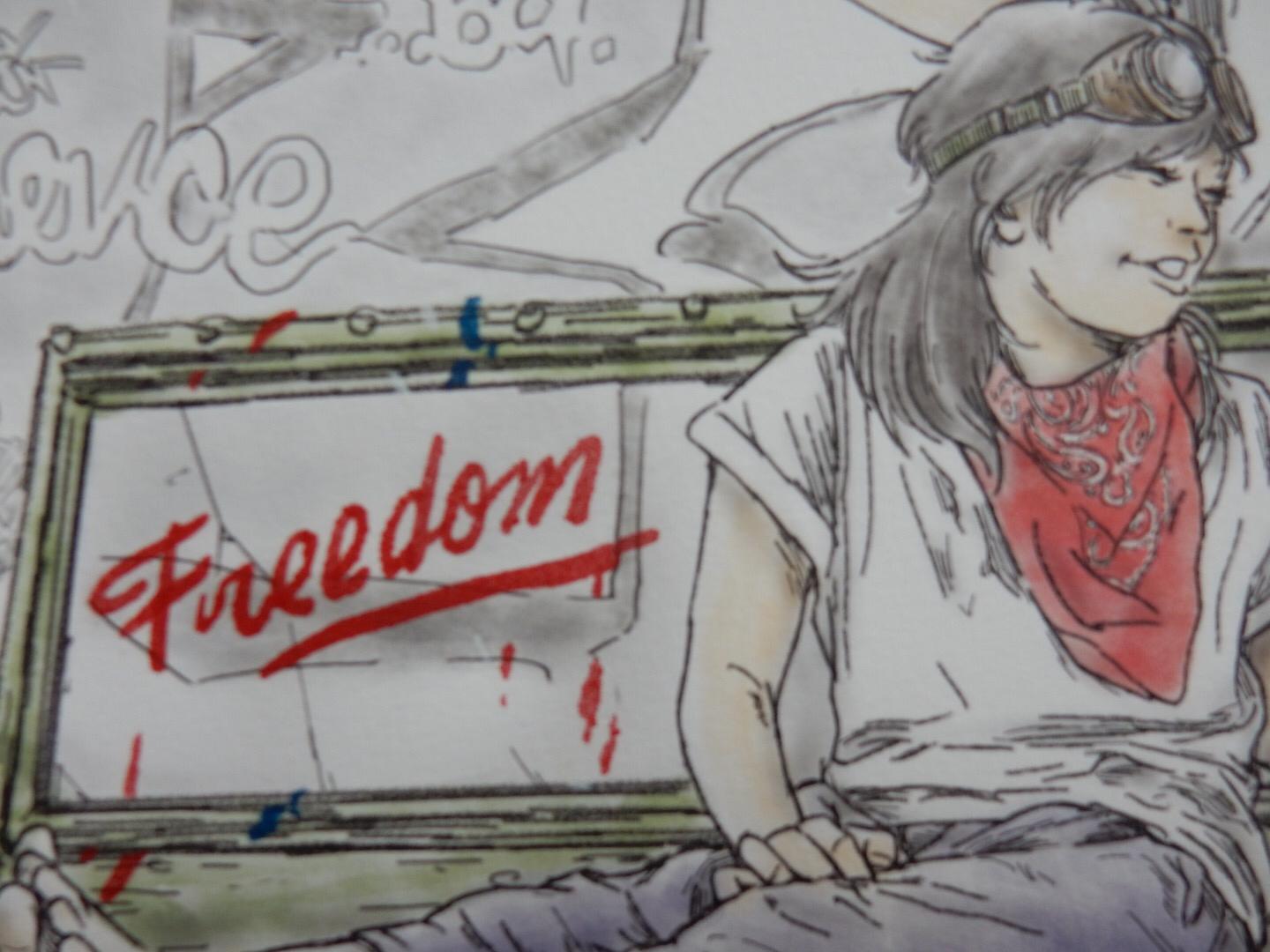 Freedom Fighters USA # 1 7