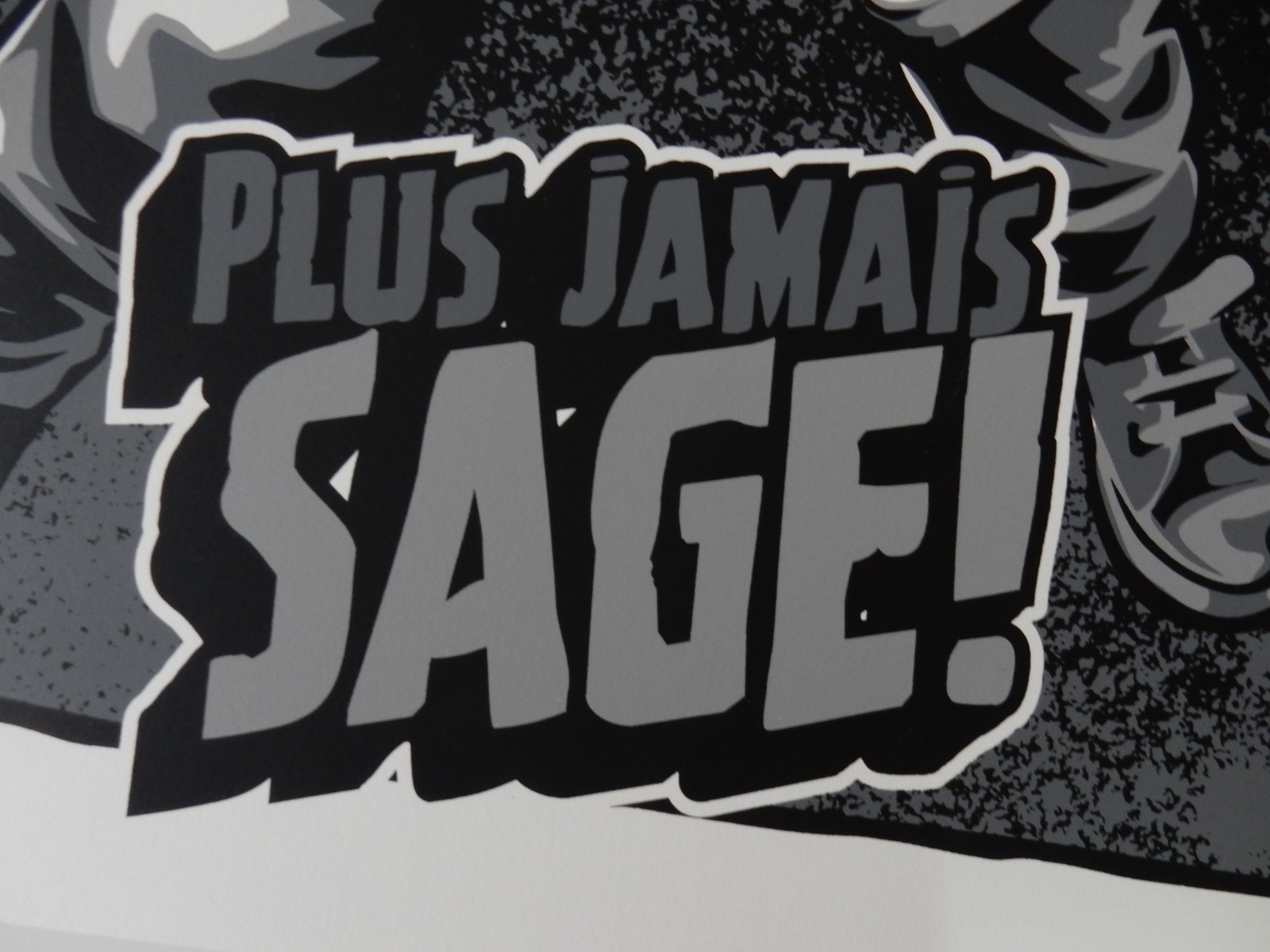 Plus Jamais Sage 8