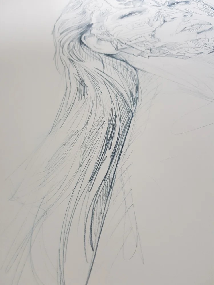 La Cage et la trace du crayon 3