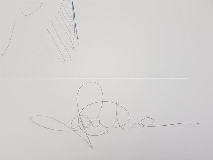 La Cage et la trace du crayon 5