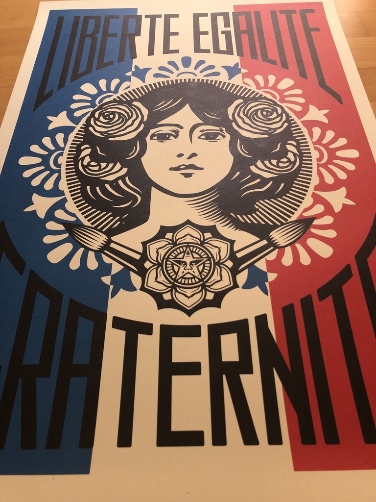 Liberte Egalite Fraternite 7