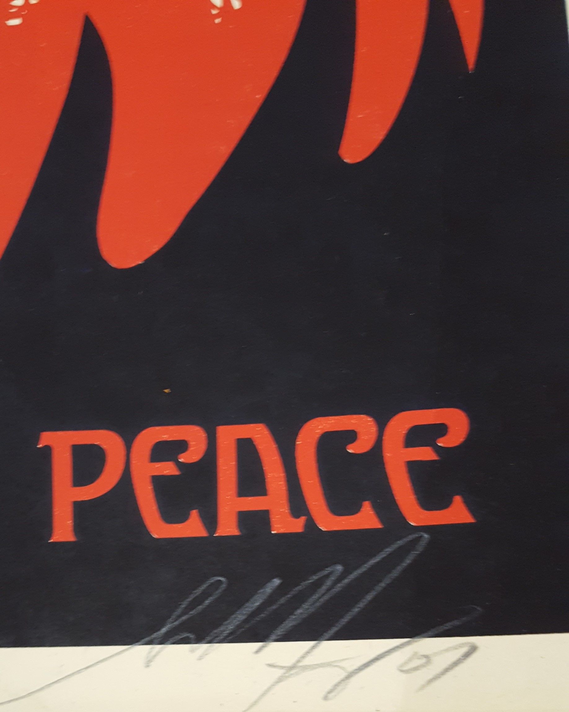 Peace Mujer, 2007 5