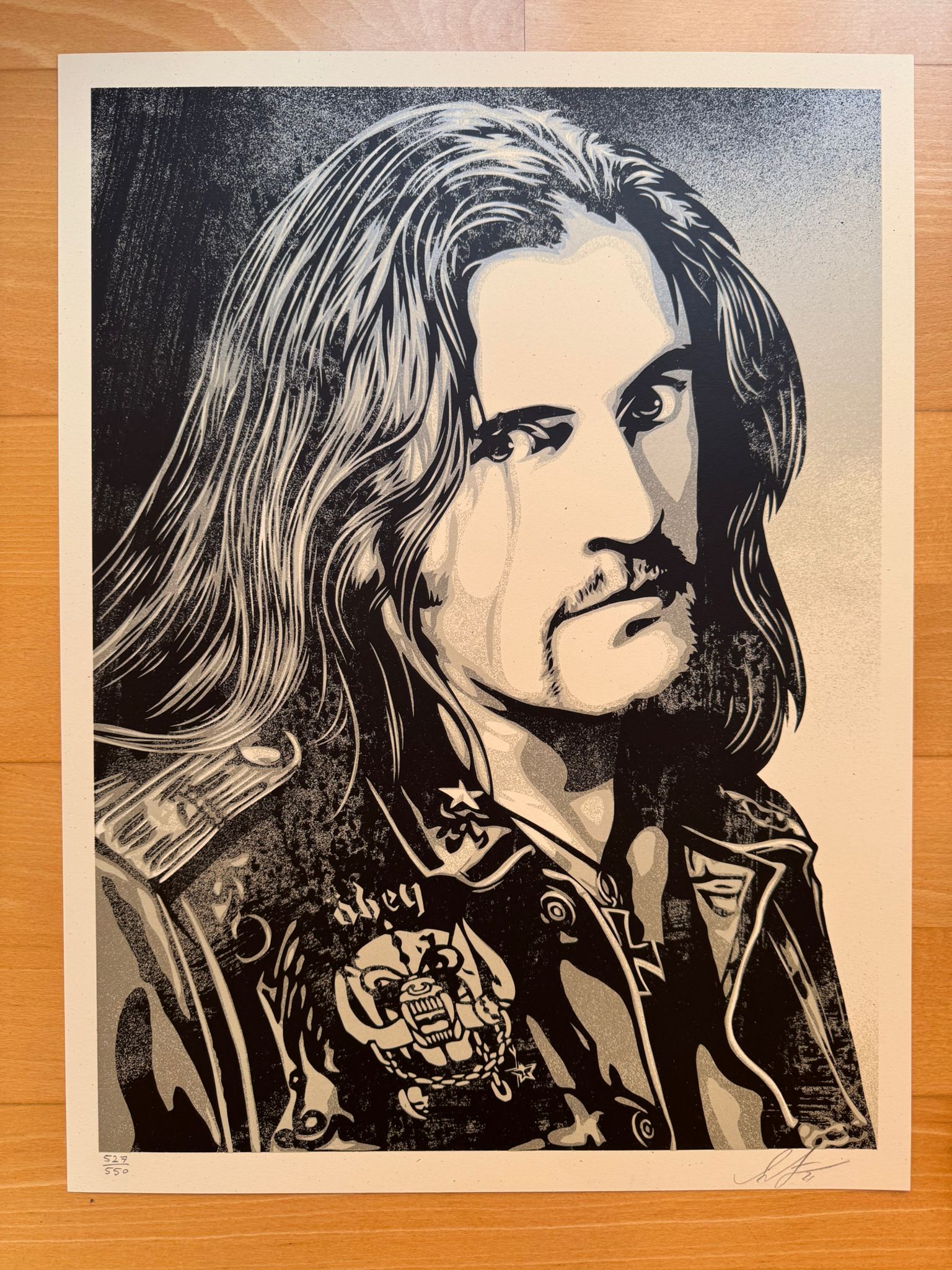 Lemmy Damaged Case 2