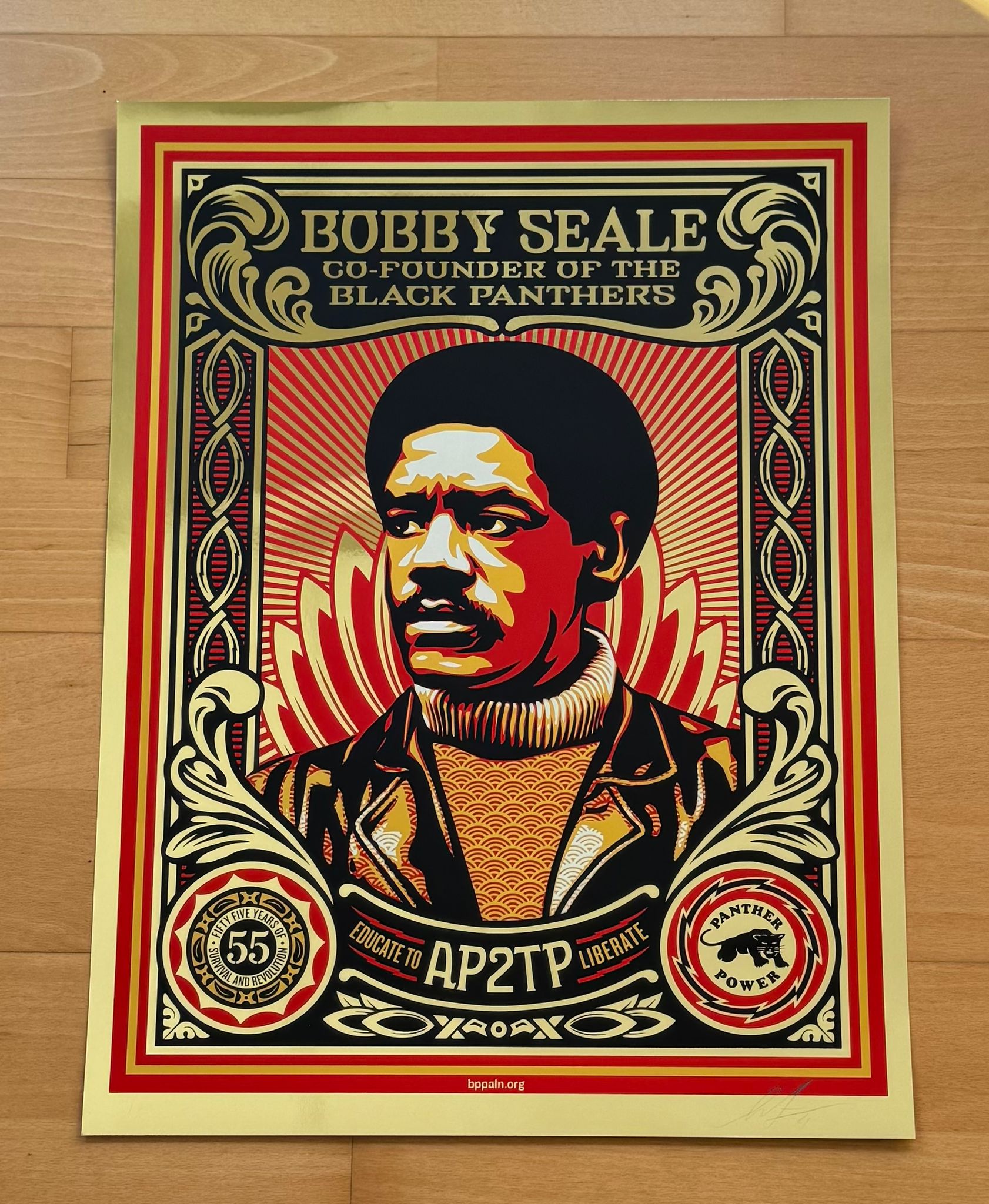 Educate to Liberate - Premium Mirror Gold Foil Edition 2