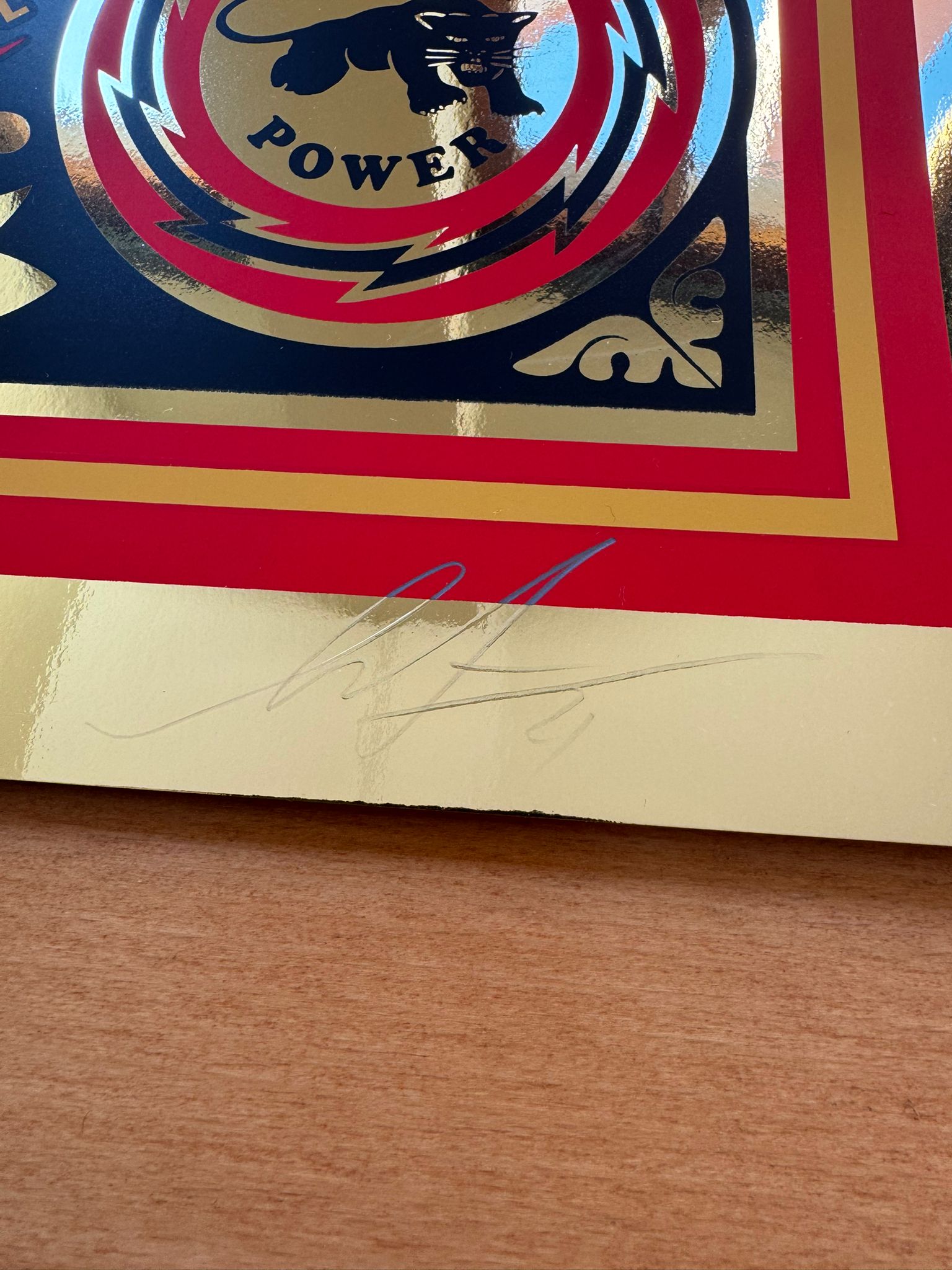 Educate to Liberate - Premium Mirror Gold Foil Edition 4
