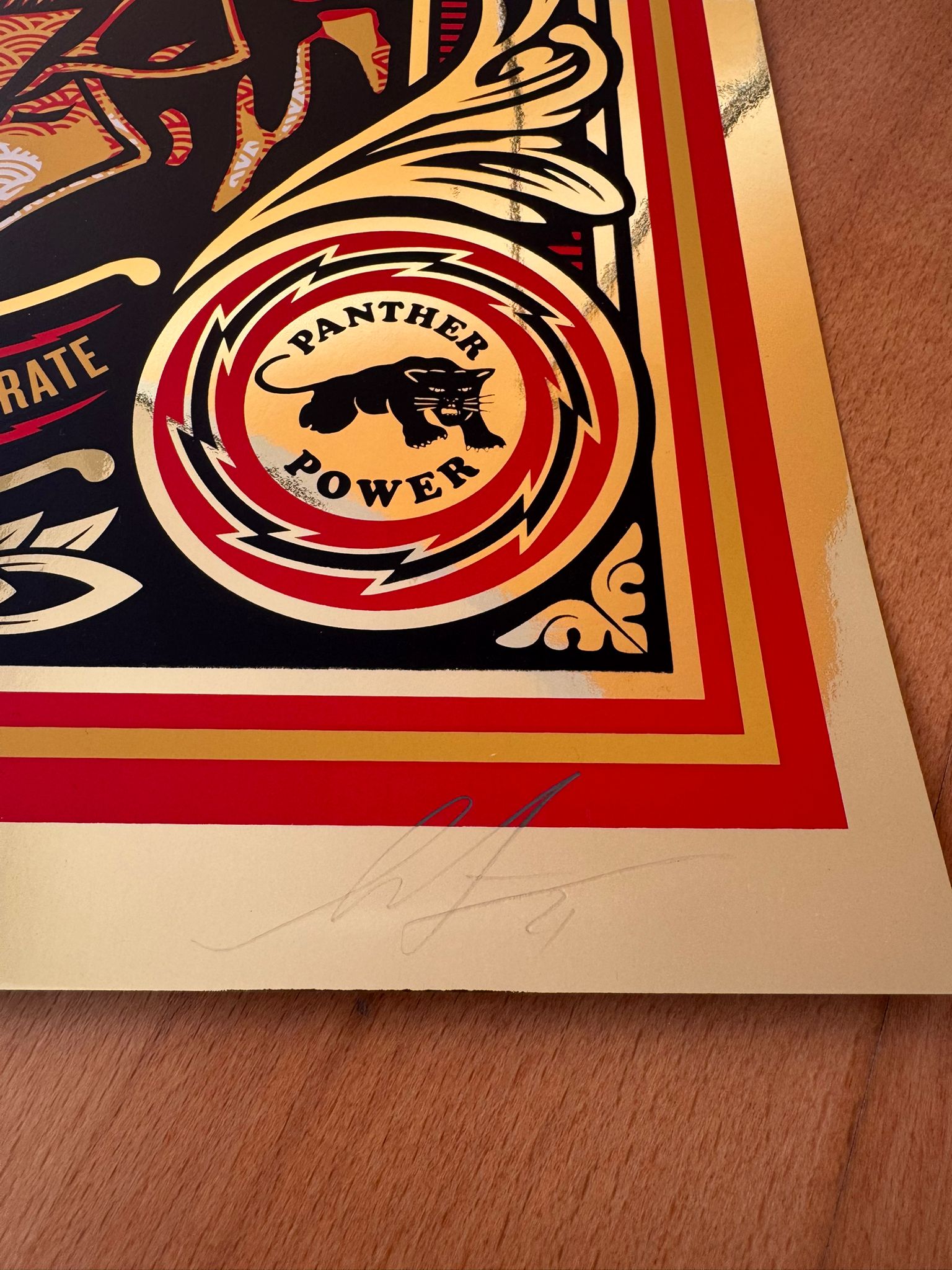 Educate to Liberate - Premium Mirror Gold Foil Edition 5