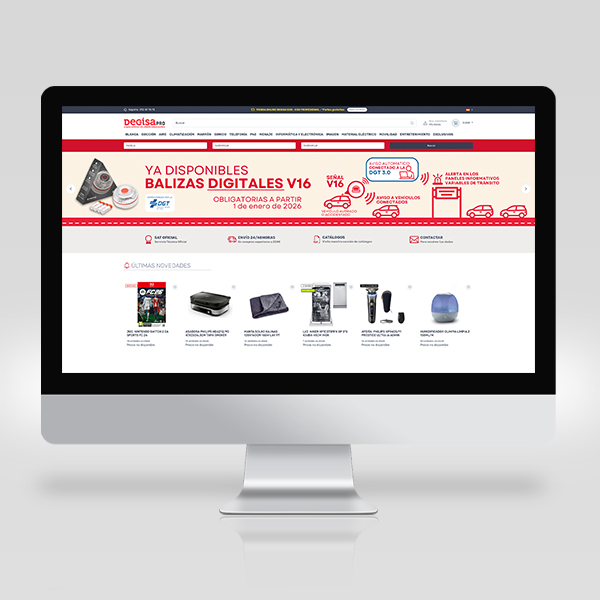 e-commerce DEGISA