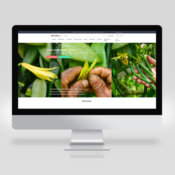 e-commerce SOC CHEF