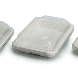 Envase Sushi caña azucar c/tapa 21.7x9cm 25u.*
