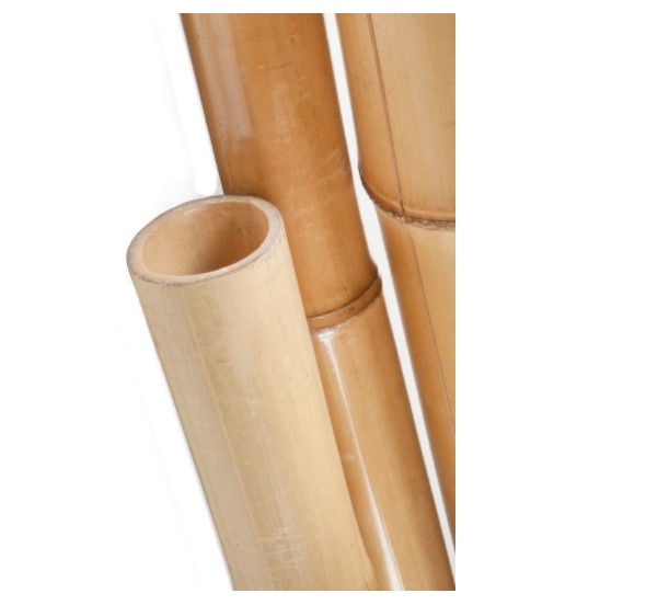 Cañita bambu 200x6.3mm 25u.