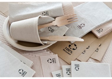Servilleta 33x33 Ecolabel 100u.