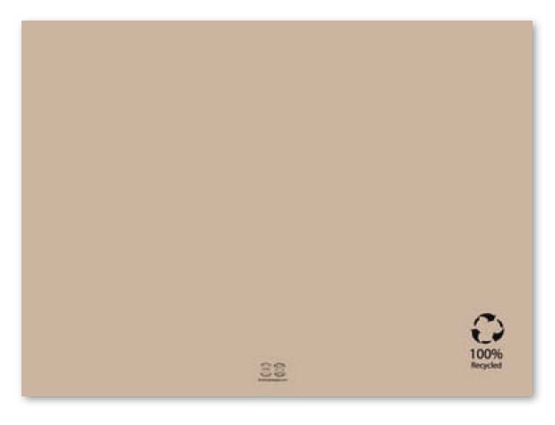 Mantel SNACK ECO 50g/m2 43x31cm 500u.