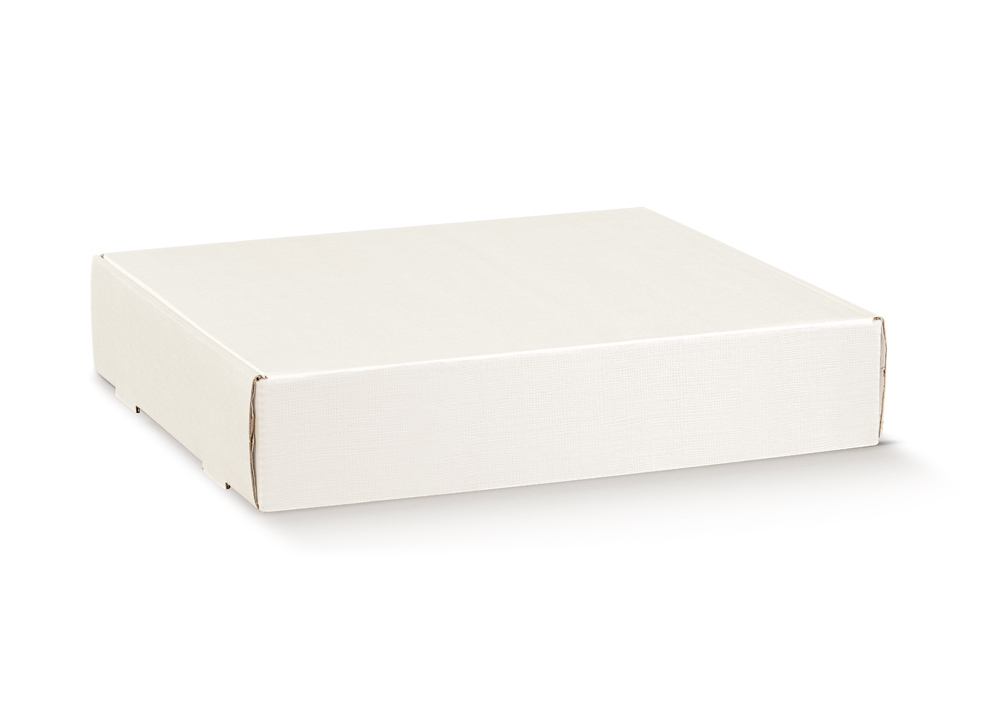 Caja Fast Blanco 310x255x65mm 10u.