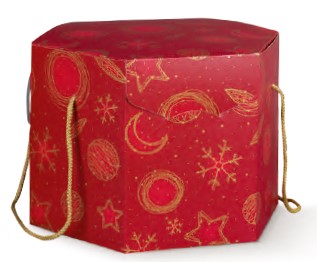 Segreto Esagono c/cord 300x300x240 Red Universe 2u