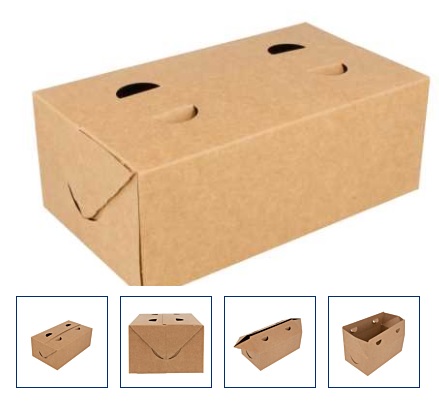 Caja TakeAway marron 2L 300g/m2 13x23x8 50u.