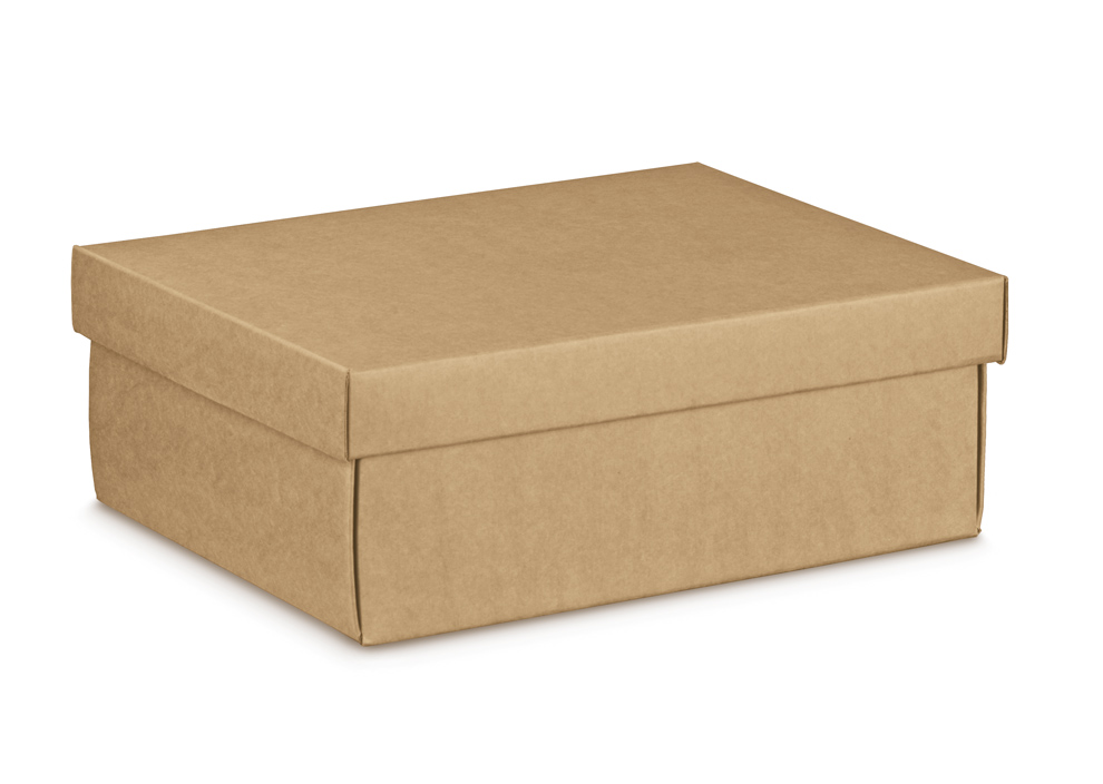 Caja F/Cdp EASY AVANA 455X320X150mm