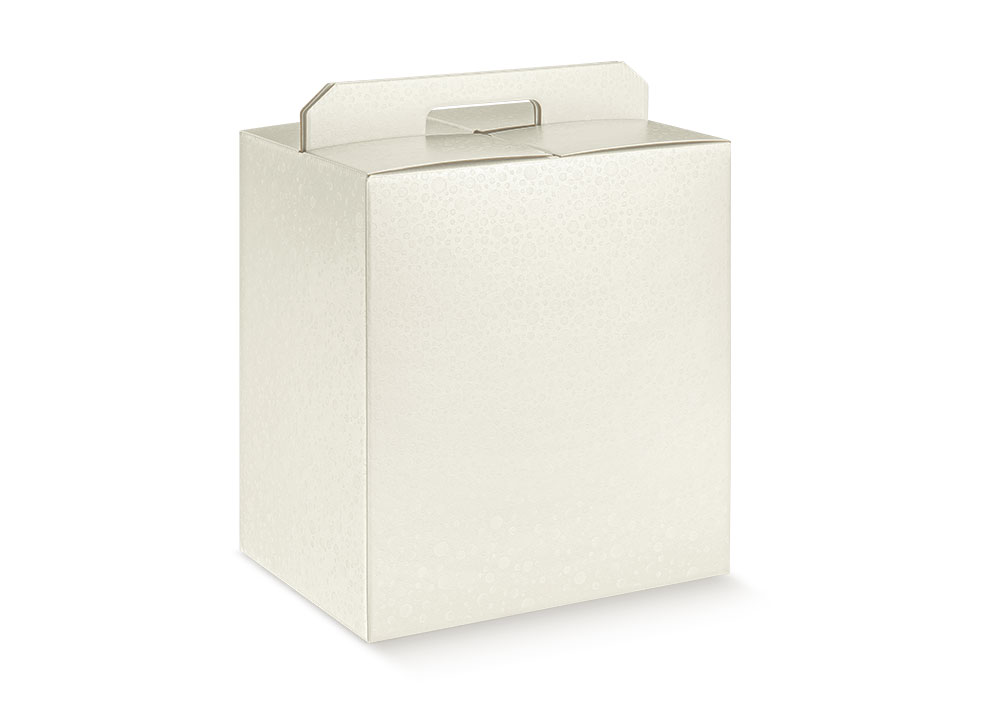 Portapan 430x240x345mm Cristal 1u.*