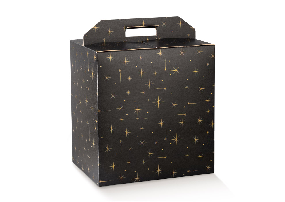 Portapan 430x240x345mm Constellation 1u.