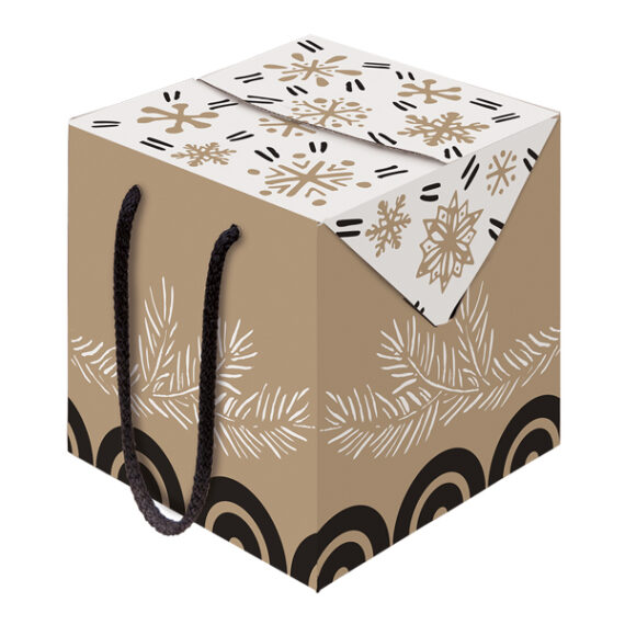 Caja Navidad c/cord. 200x200x200 1u.